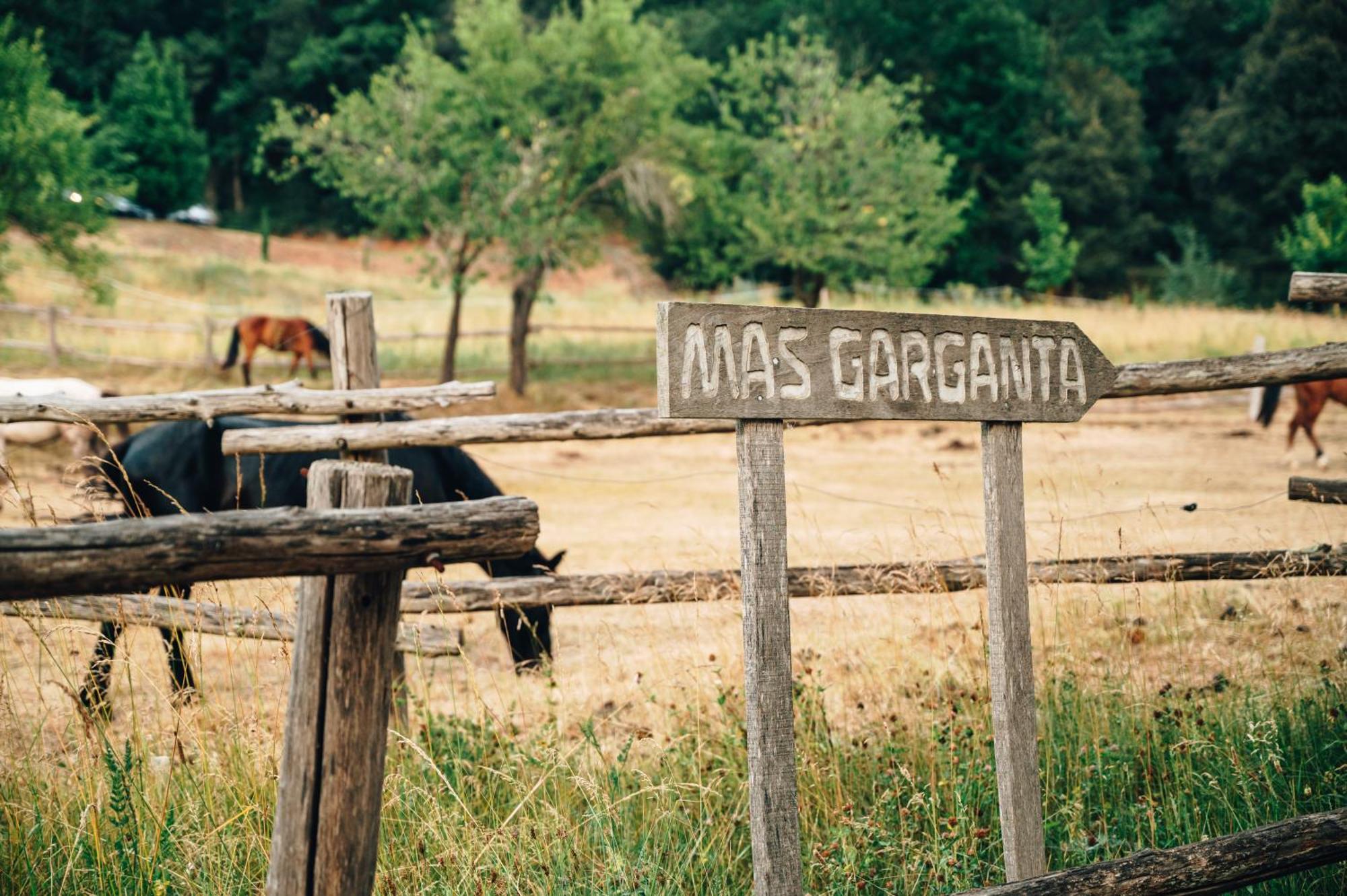 Casa Rural Mas Garganta La Pinya Экстерьер фото